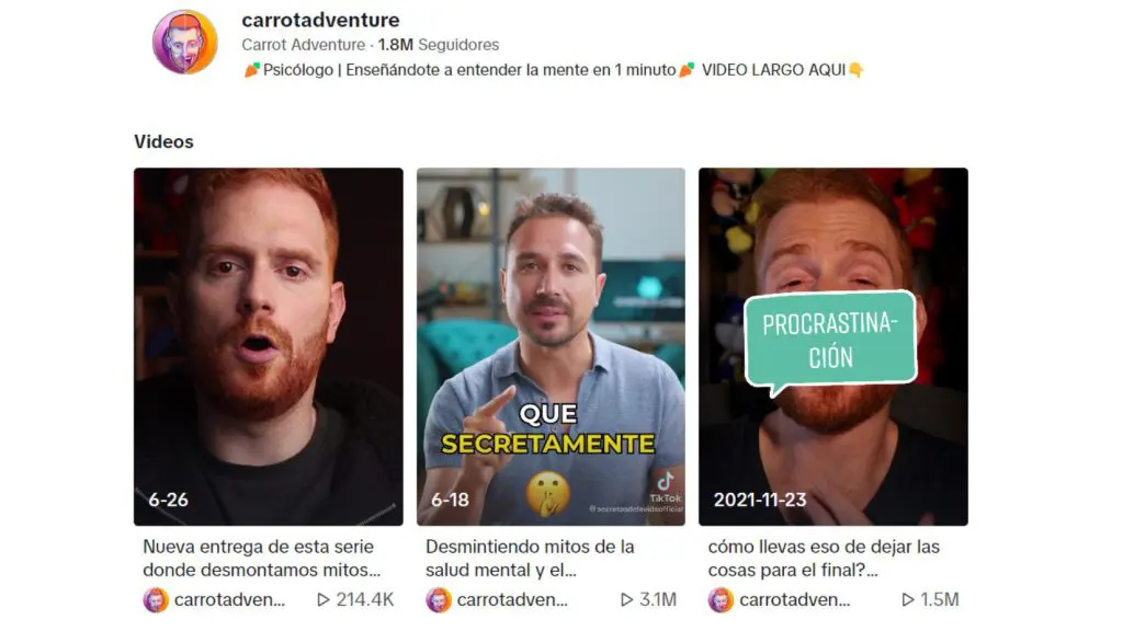 TikTok Carrot Adventure