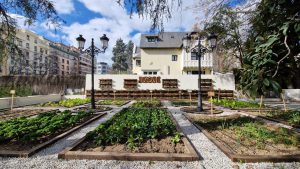 La terraza de Seeds, en Serrano 