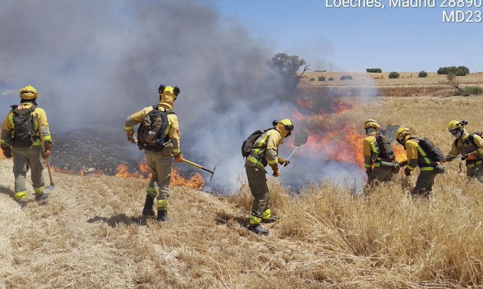 Loeches (Madrid) sufre un incendio que calcina varias áreas de pastos (VÍDEO)