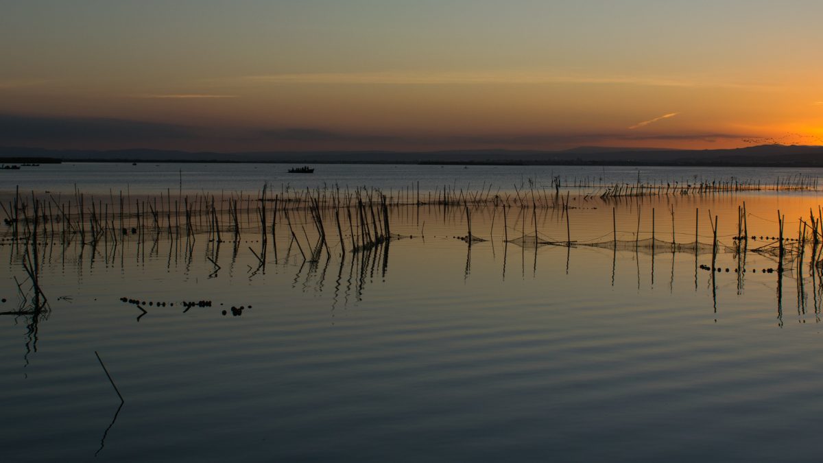 Ciudades verdes - Parque Natural de la Albufera