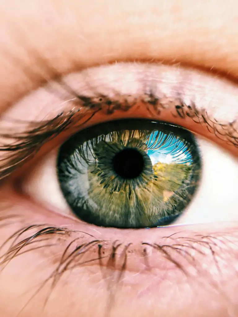 ¿Qué es un desprendimiento de retina? La afección que ha sufrido Alberto Núñez Feijóo