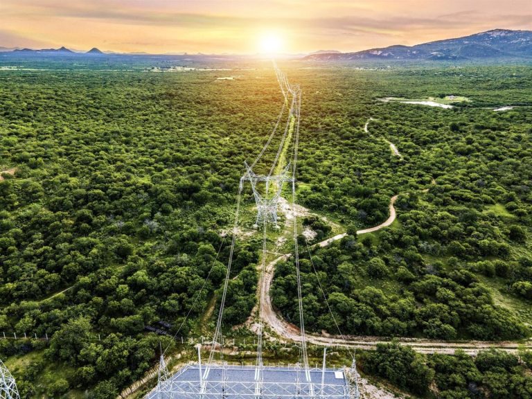 Iberdrola logró un récord en 2024 al distribuir 238.164 GW de electricidad