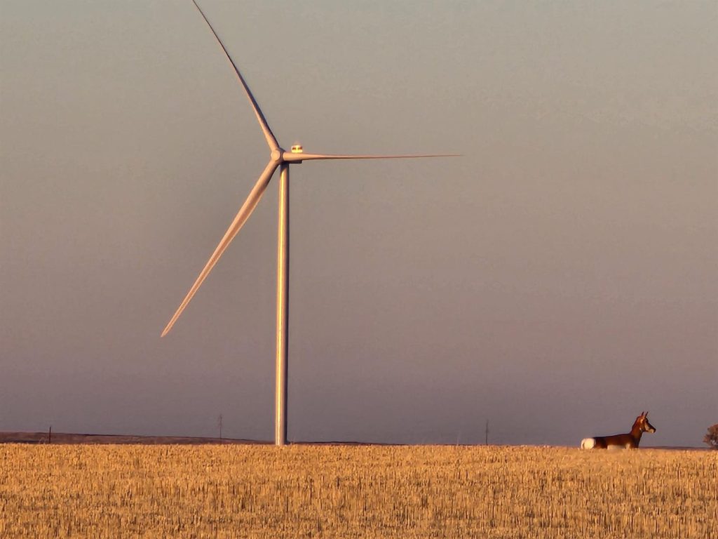Acciona logra 422 millones de ganancias en 2024, un 22% menos, pero vende 19.200 millones
