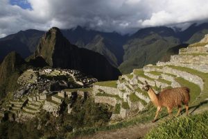 BBVA Research mejora la previsión del PIB de Perú, ahora espera un crecimiento del 3,1% en 2025