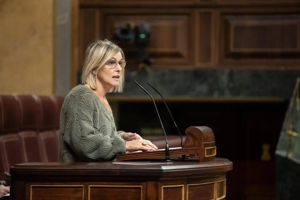 El Congreso debate hoy cómo hacer más fácil el bono social eléctrico para quienes más lo necesitan