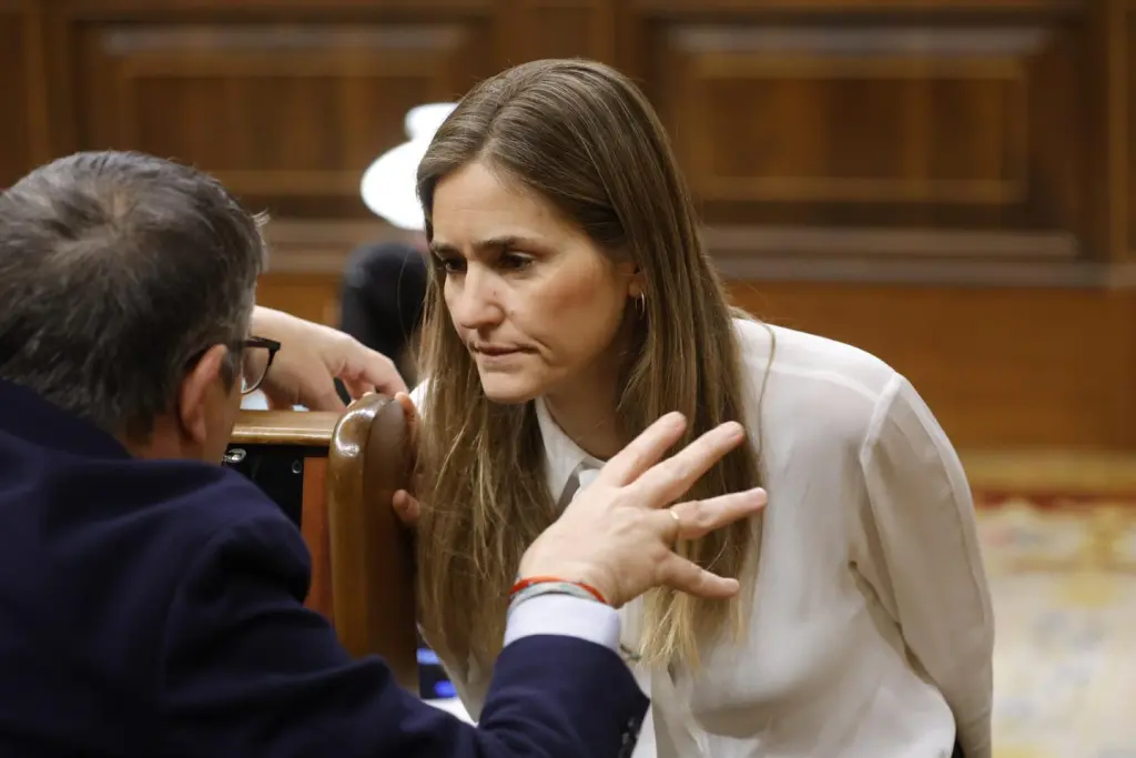 El Gobierno debe reformar el bono social para que llegue de forma automática a los más necesitados