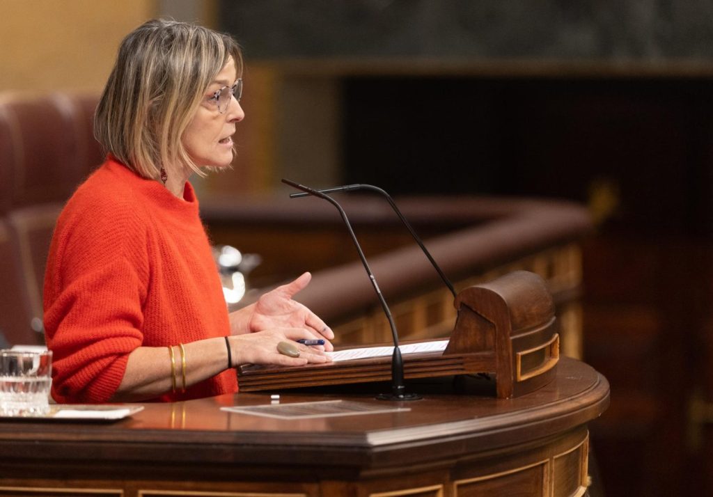 El PNV pide al Congreso simplificar el acceso al bono social eléctrico para los más necesitados