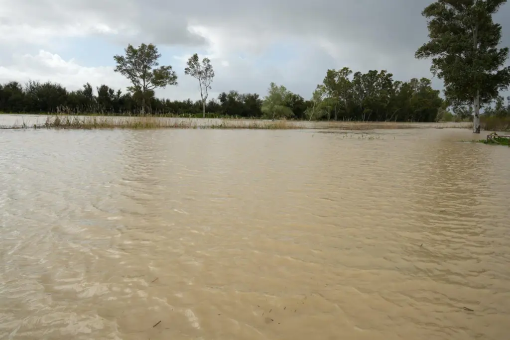 La borrasca Nuria golpea España: Aemet anticipa lluvias, vientos huracanados y alerta roja en Canarias
