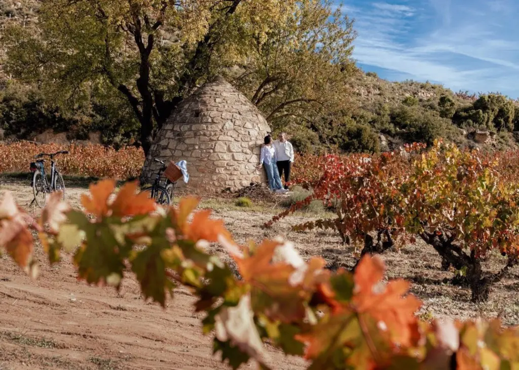 El enoturismo en Rioja crece y lidera el mercado del vino en 2024 con 912.438 visitas