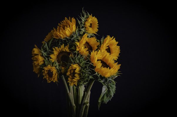 Flores que Dan Vida a Barcelona