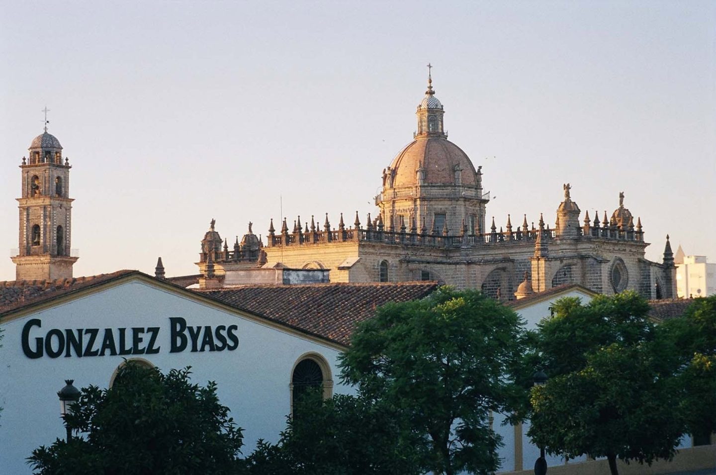 González Byass logra el primer préstamo vitivinícola sostenible en España por 86 millones de euros