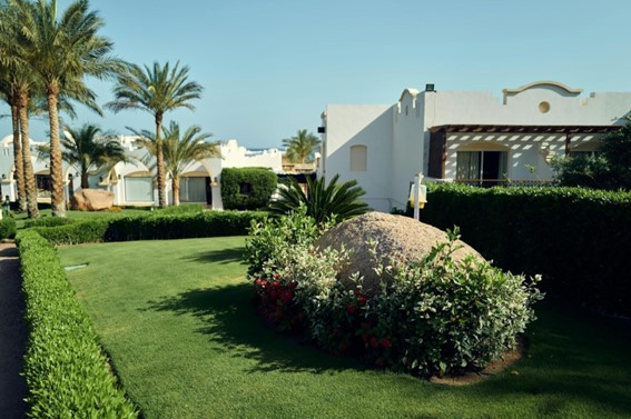 El fuerte auge del mercado de obra nueva en España