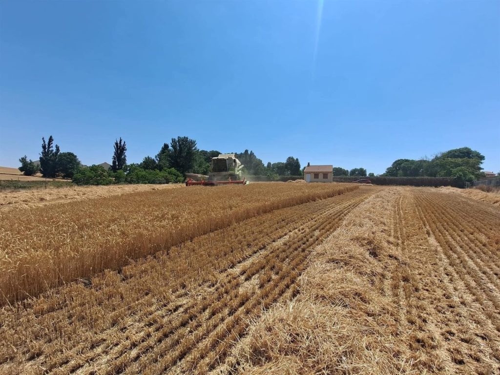 El campo de Castilla y León rechaza la reforma de la PAC y pide más presupuesto para las ayudas.