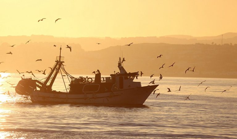 El PSOE propone en el Congreso medidas para integrar a más mujeres en el sector pesquero español