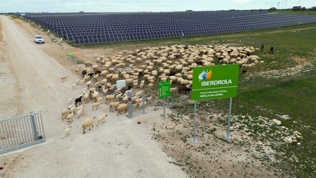 Iberdrola e Ingeteam avanzan en hibridación de plantas solares con sistemas de baterías eficientes