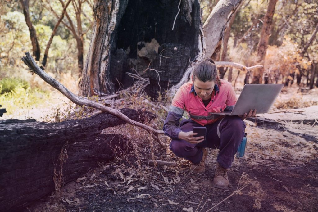 Indra y Minsait desarrollan tecnología para prevenir incendios forestales con IA y sensores avanzados