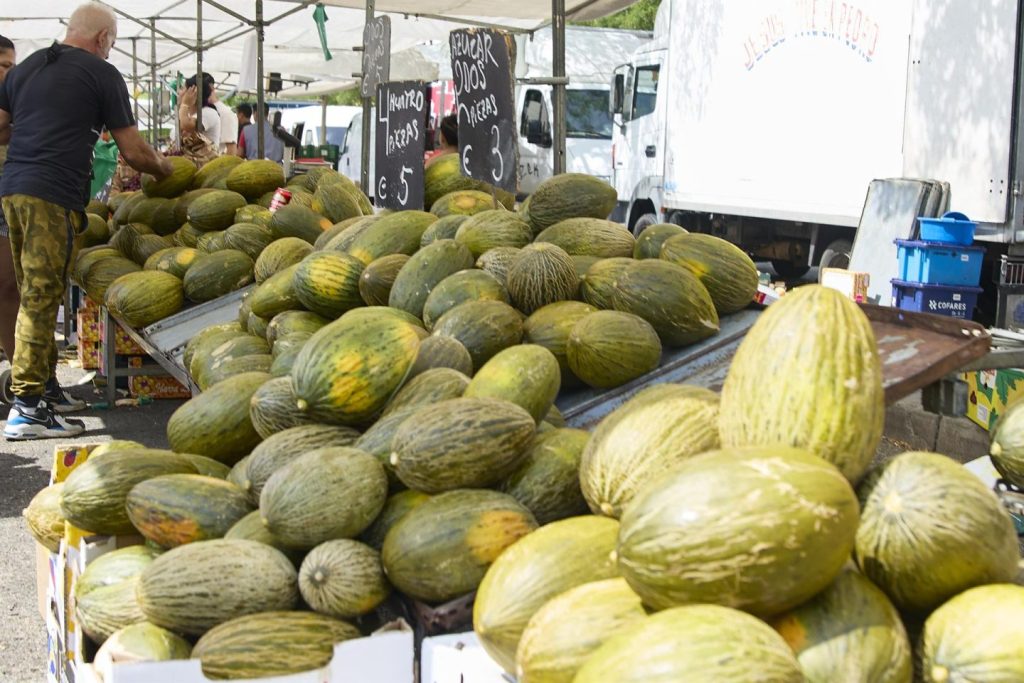 Las cooperativas ven injusta la bajada de precio del melón y sandía y recomiendan reducir oferta