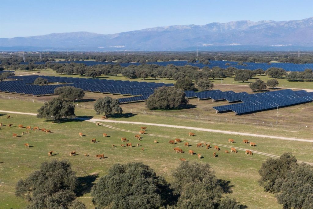 Statkraft obtiene luz verde para planta solar ‘Pinea’ de 150 MW en Extremadura
