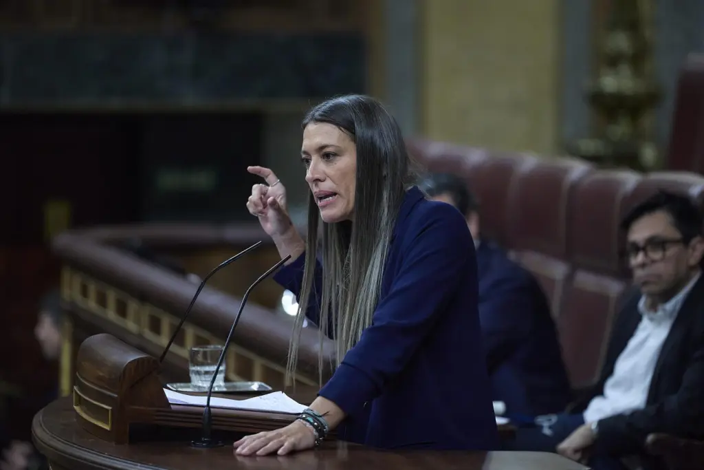 El Congreso debate la reforma de atención al cliente en catalán para grandes empresas en España
