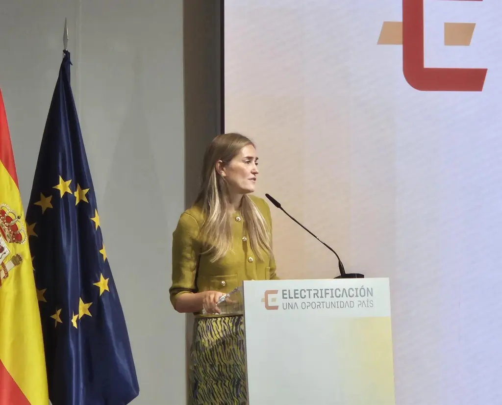 El Gobierno invertirá 13.500 millones en la red eléctrica hasta 2030 para impulsar su desarrollo