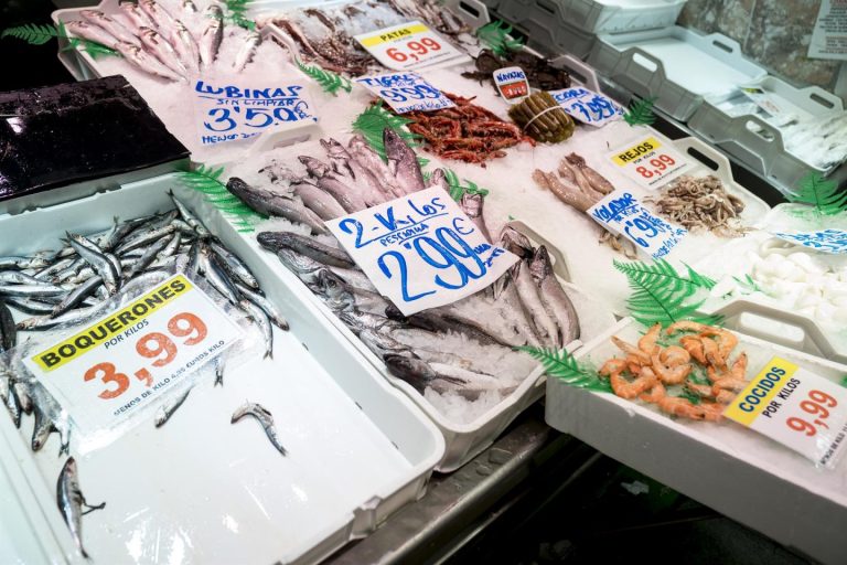 El PP pide al Gobierno proteger pescaderías y fomentar el consumo de pescado para reactivar el sector