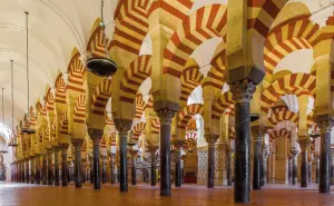 El vino y el cultivo de las vides en la época del Al-Andalus