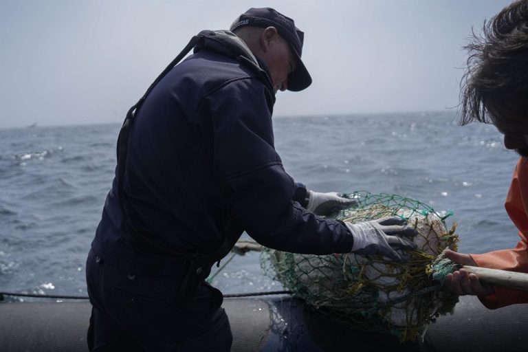 El PSOE impulsa permitir que migrantes no europeos puedan ser capitanes de barcos en España