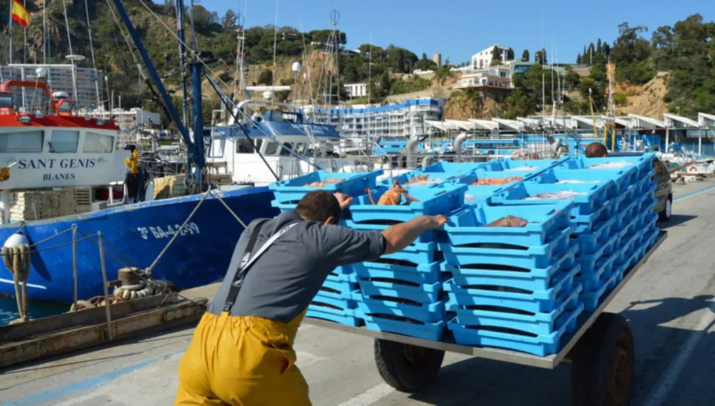 Pescadores catalanes temen quedarse sin pescar hasta 2026 y calculan graves pérdidas económicas