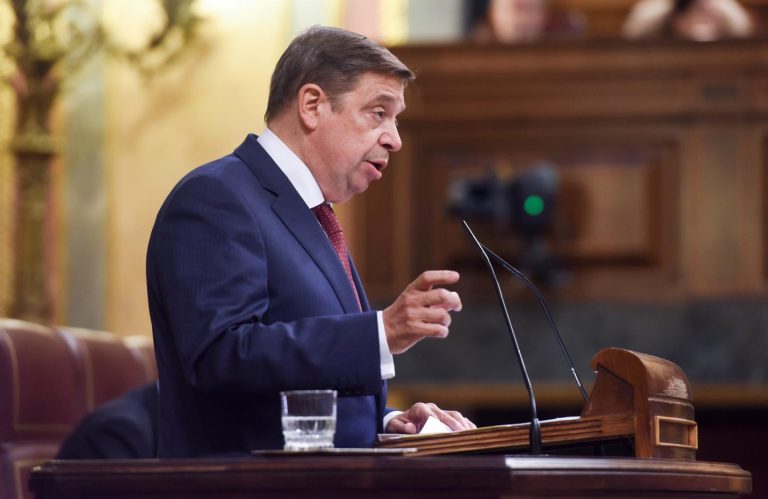 Planas llama a la calma por la gripe aviar, pero admite que podría afectar el precio de los huevos