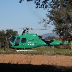 Agricultores exigen al Gobierno sacrificar 40.000 cerdos por peste porcina africana en Barcelona