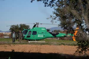 Agricultores exigen al Gobierno sacrificar 40.000 cerdos por peste porcina africana en Barcelona