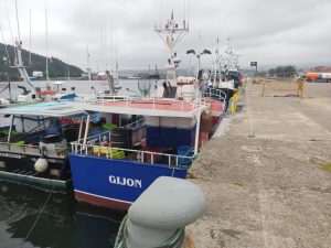 Asturias valora el acuerdo de pesca en Bruselas, pero preocupa reducción de abadejo y caballa