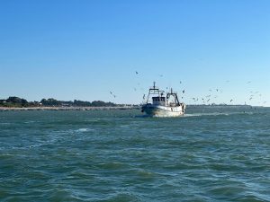 Cepesca celebra el pacto pesquero de la UE como «mejor posible» pese a la difícil negociación.