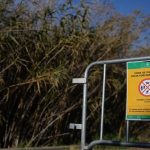 El positivo de PPA en Sant Cugat no obliga a cambiar el perímetro de alto riesgo de 6 km.