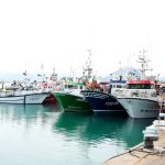 España mantiene en 2026 los días de faena pesquera en el Mediterráneo gracias a medidas de compensación