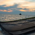 Euskadi estudiará cómo amortiguar pérdidas tras reducción del 70% en la cuota del verdel para 2026