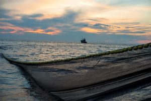 Euskadi estudiará cómo amortiguar pérdidas tras reducción del 70% en la cuota del verdel para 2026