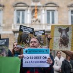 Más de 200 personas protestan en Barcelona contra la matanza de jabalíes por la peste porcina africana