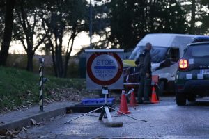 Mossos y Guardia Civil investigan el origen del brote de peste porcina africana en Barcelona