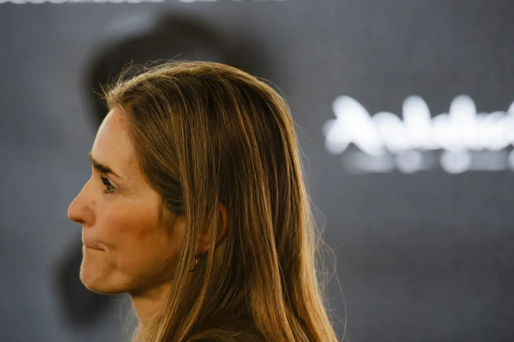 Aagesen rechaza propuesta de Musk de cubrir España vacía con placas solares, llamándola «extravagancia»