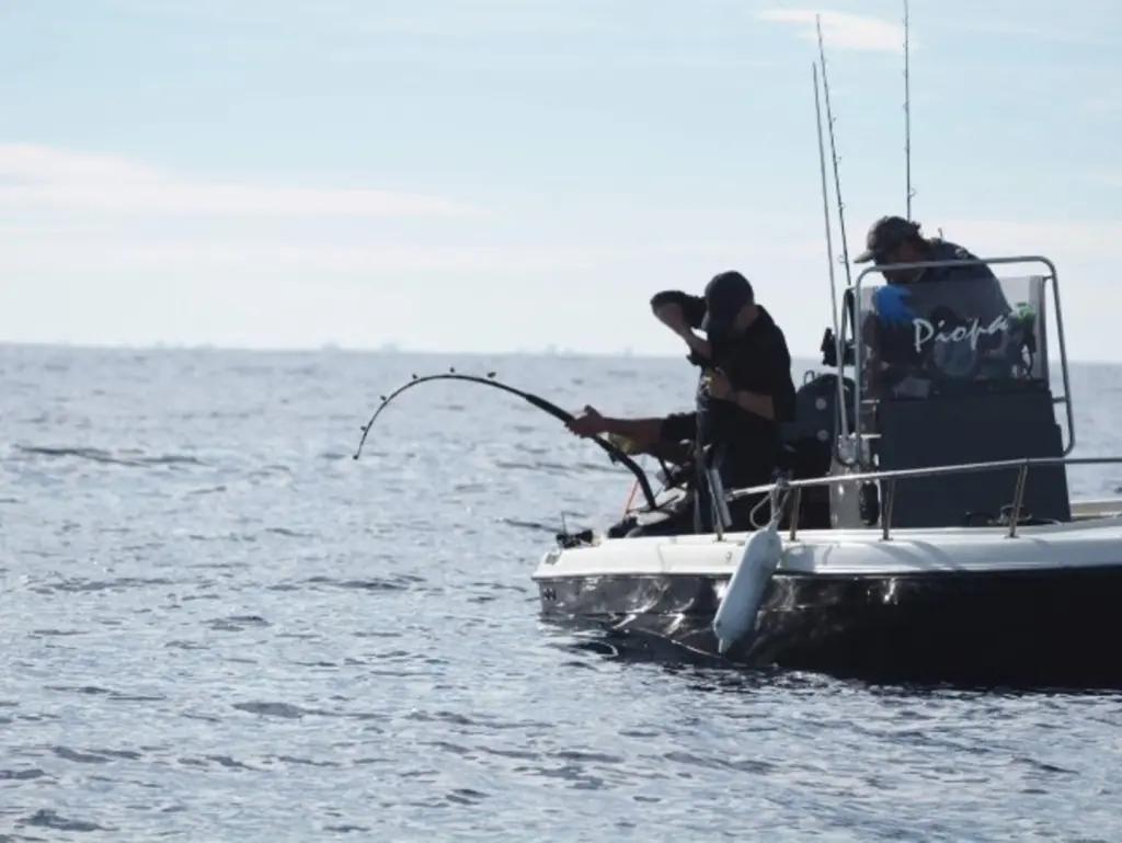Vox demanda unificar normativas y licencias de pesca recreativa en toda España para reducir burocracia