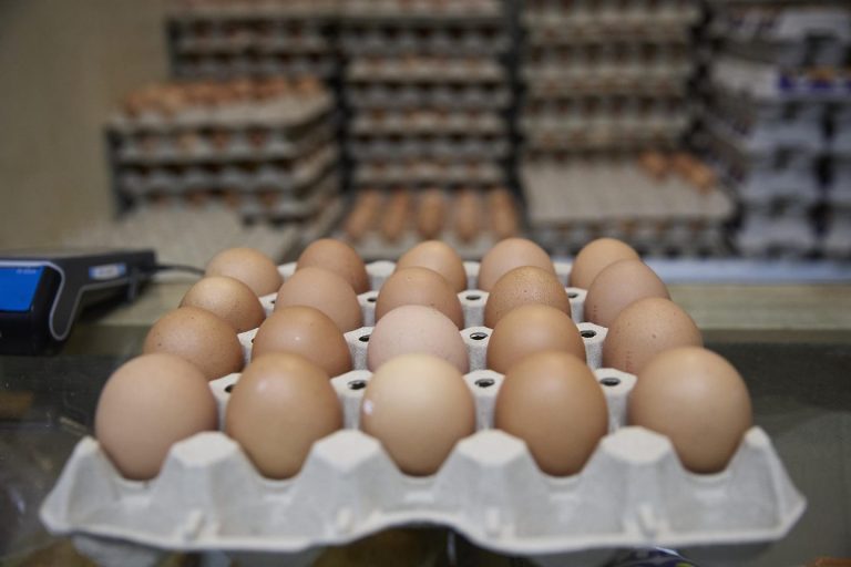 El precio de los huevos sube un 23% en 2025, seguido por el chocolate y el café.