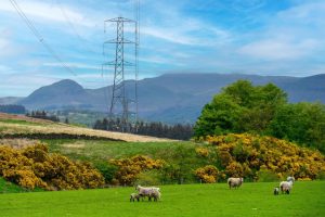 Iberdrola alcanza récord en 2025 con 255.976 GW de electricidad distribuida mundialmente