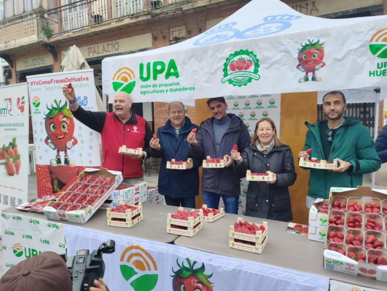 Las fresas se venden cinco veces más caras en el súper que lo que reciben los agricultores