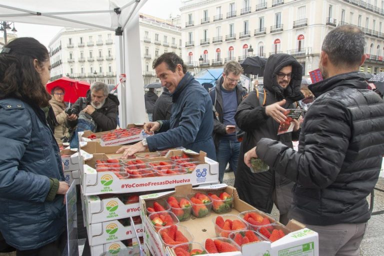 UPA reparte hoy en Sol más de 2.000 tarrinas de fresas de Huelva para apoyar a los agricultores