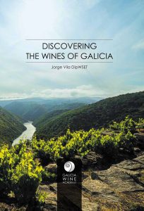 Paseo por los viñedos y vinos de Galicia