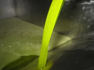 Aumenta la venta de aceite de oliva, pero los precios se mantienen bajos pese a la menor producción