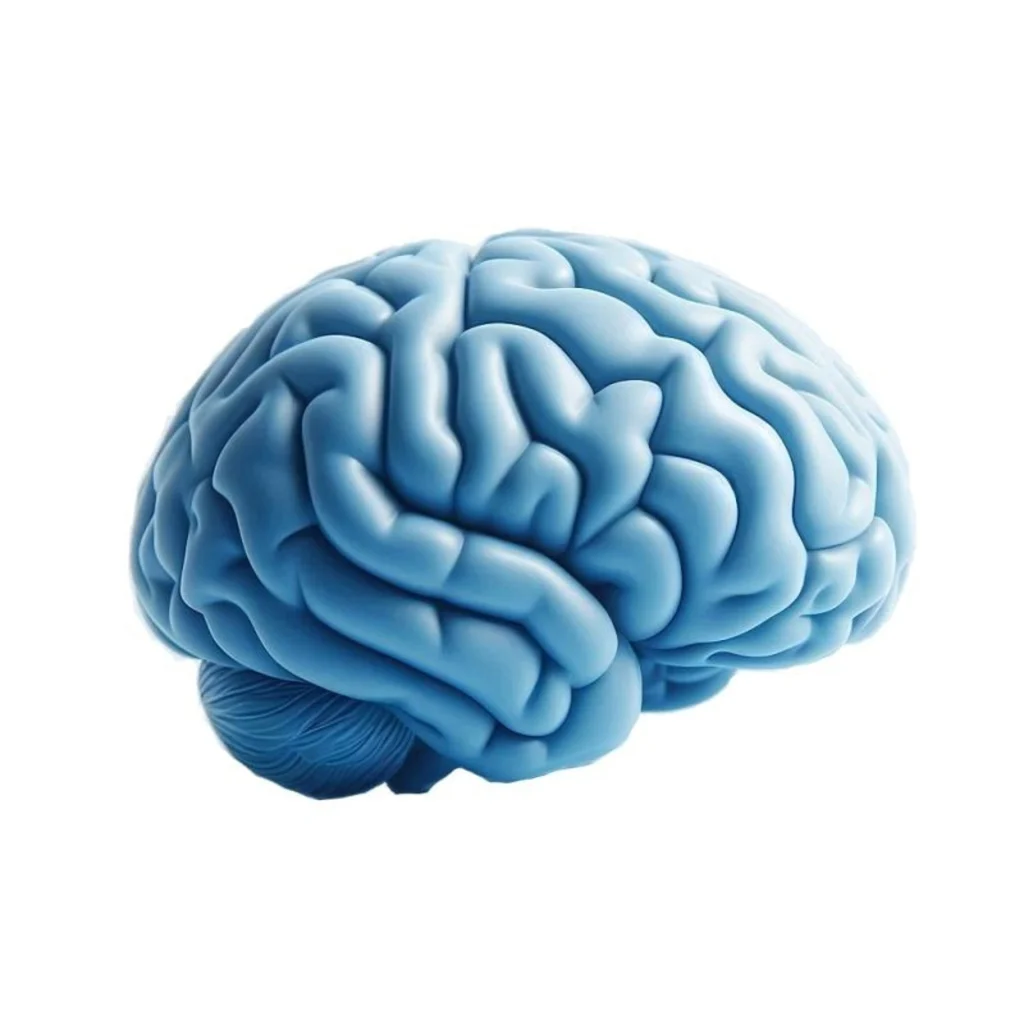 El desconocimiento de los trastornos neurológicos funcionales retrasa los diagnósticos, dice la SEN