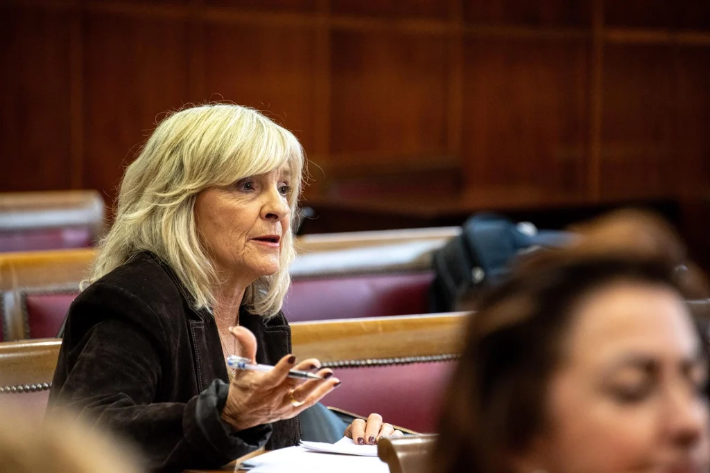 UPN ve al Senado como contrapeso del Gobierno y prevé la comisión Koldo hasta verano de 2027