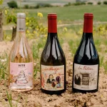 Cepa 21 lanza nueva generación de vinos para redefinir Ribera del Duero